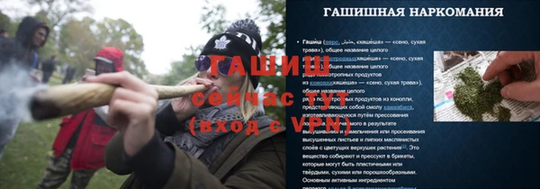 сатива Белокуриха