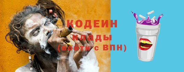 сатива Беломорск