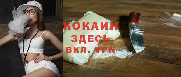 сатива Беломорск