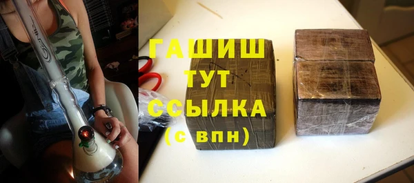 сатива Беломорск