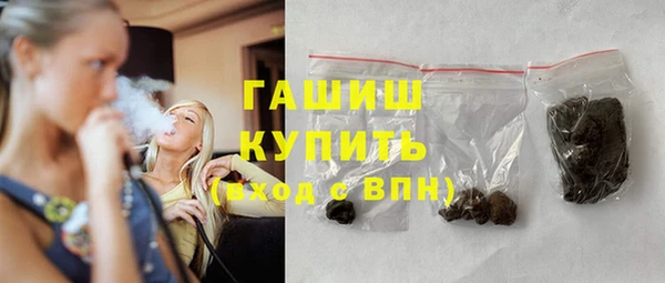 сатива Беломорск