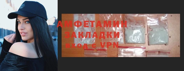 сатива Беломорск