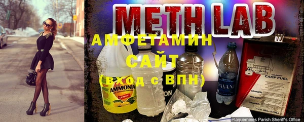 сатива Беломорск
