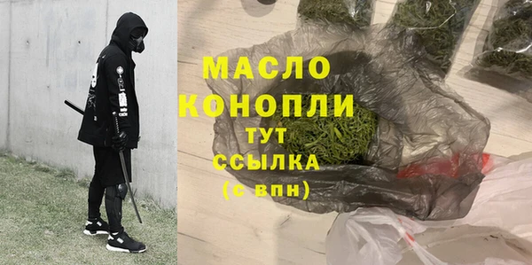 сатива Беломорск