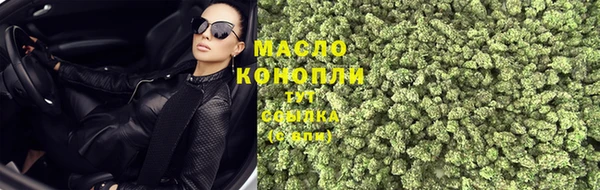 сатива Беломорск