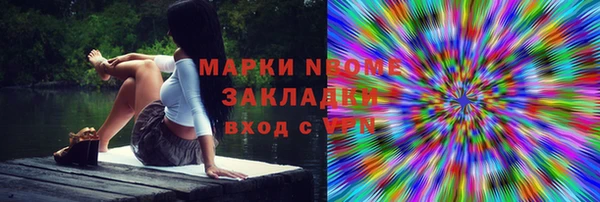 сатива Беломорск