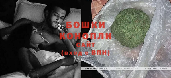 сатива Белокуриха