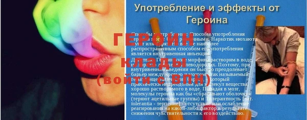 сатива Беломорск