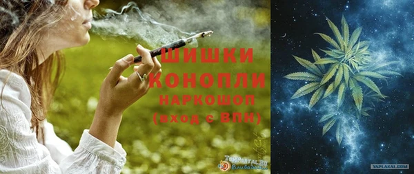 сатива Беломорск