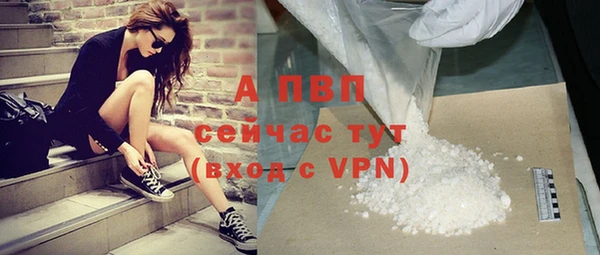 сатива Белокуриха