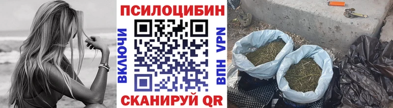 Псилоцибиновые грибы MAGIC MUSHROOMS  дарнет шоп  Сясьстрой 