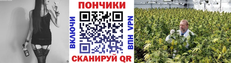 Каннабис конопля  Сясьстрой 